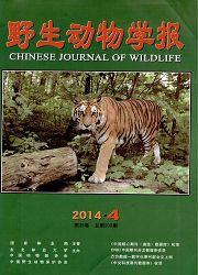 今日科普一下！中学体育类期刊,百科词条爱好_2024最新更新