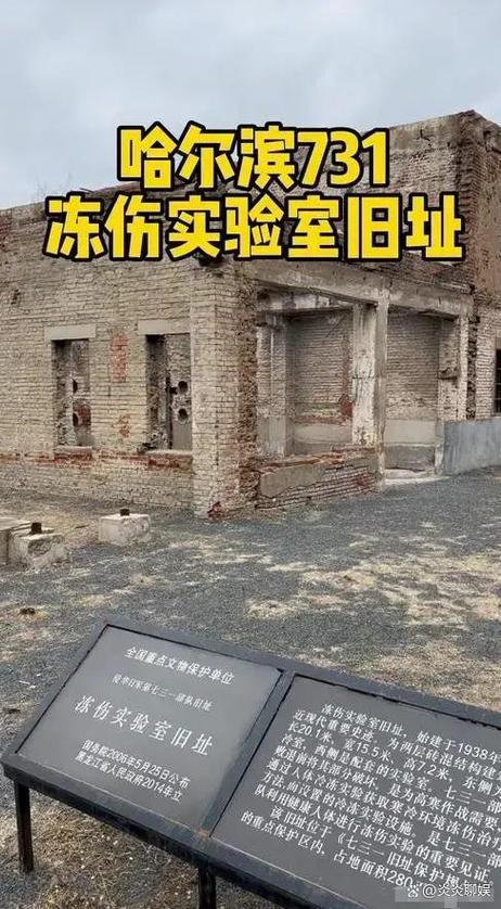 今日科普一下！哈尔滨1944在线全集免费看,百科词条爱好_2024最新更新