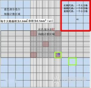 今日科普一下！公式计算六肖,百科词条爱好_2024最新更新